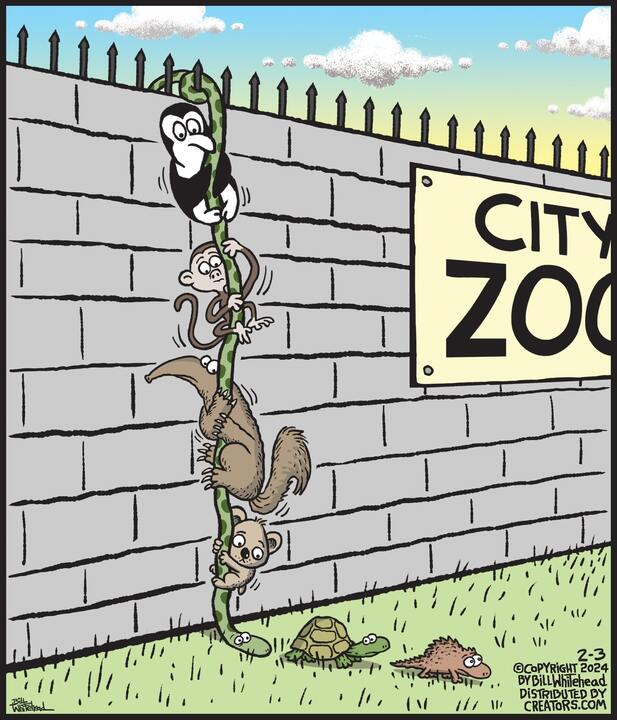 Free Range for Feb 03, 2024