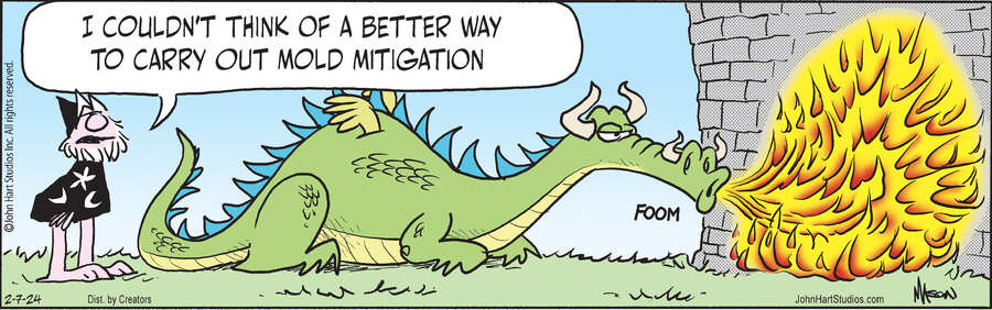 Wizard of Id for Feb 07, 2024