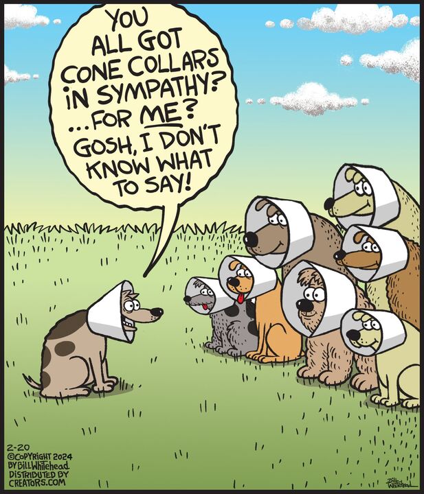 Free Range for Feb 20, 2024