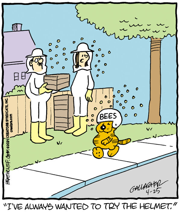 Heathcliff for Apr 25, 2024