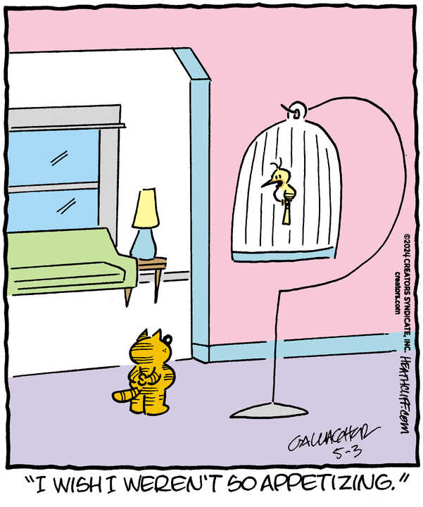 Heathcliff for May 03, 2024