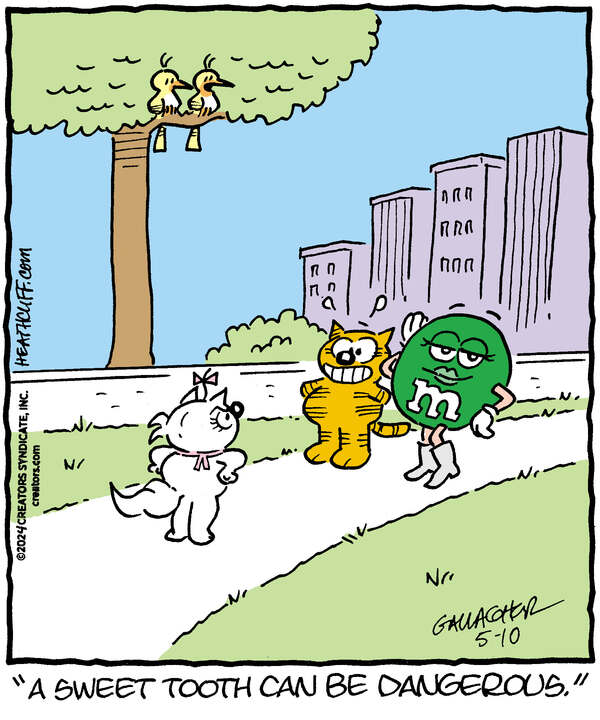 Heathcliff for May 10, 2024