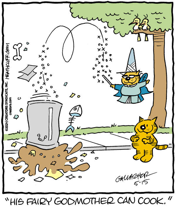 Heathcliff for May 15, 2024