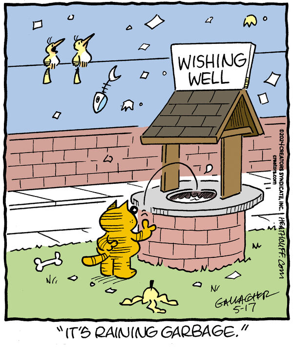 Heathcliff for May 17, 2024
