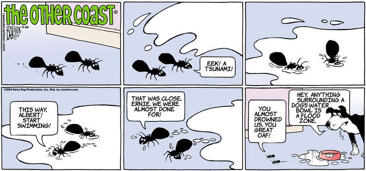 The Other Coast for May 26, 2024