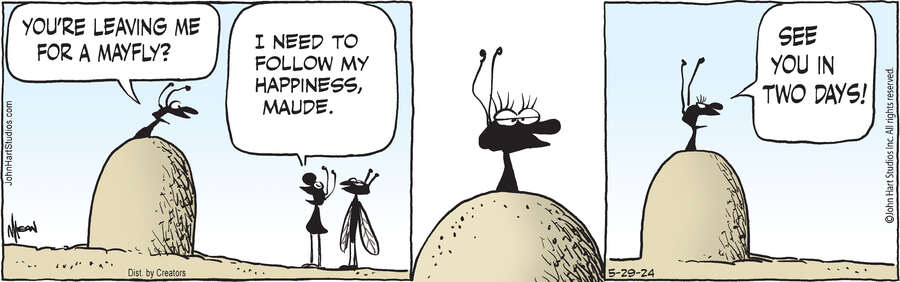 B.C. for May 29, 2024