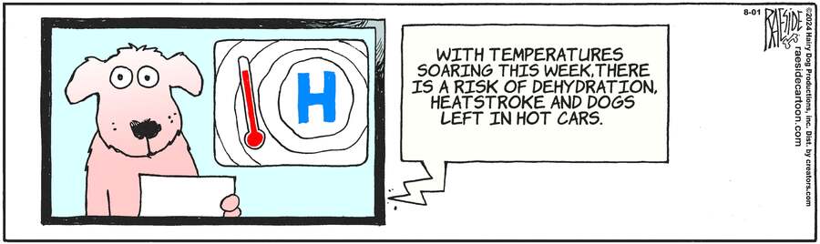 The Other Coast for Aug 01, 2024