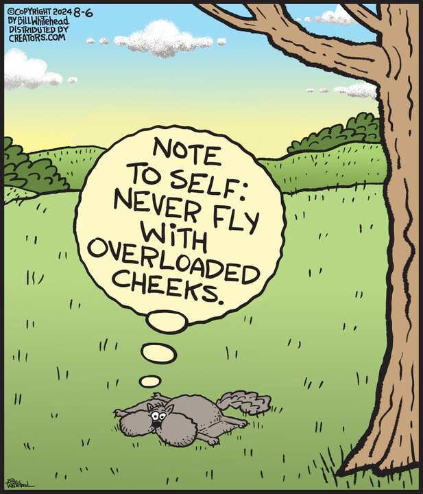 Free Range for Aug 06, 2024