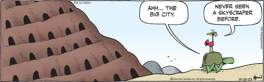 B.C. for Aug 18, 2023