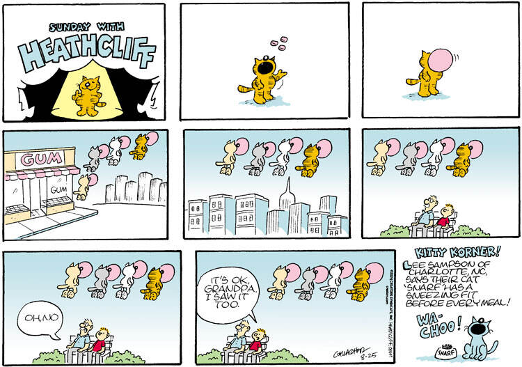 Heathcliff for Aug 25, 2024