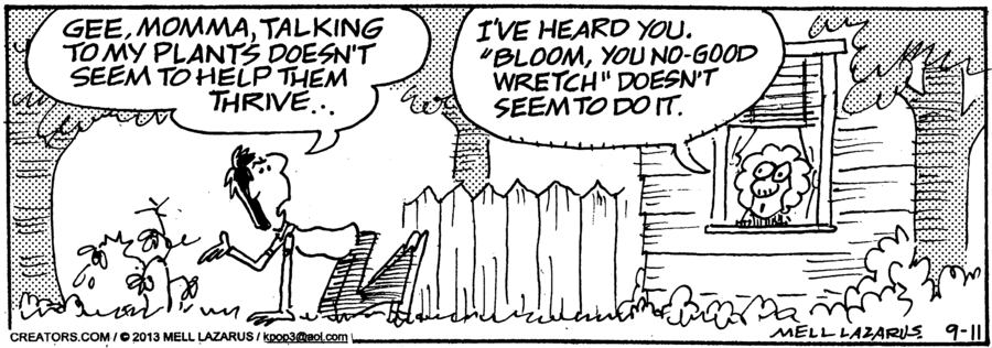 Momma for Sep 11, 2024