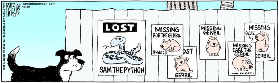 The Other Coast for Oct 29, 2024