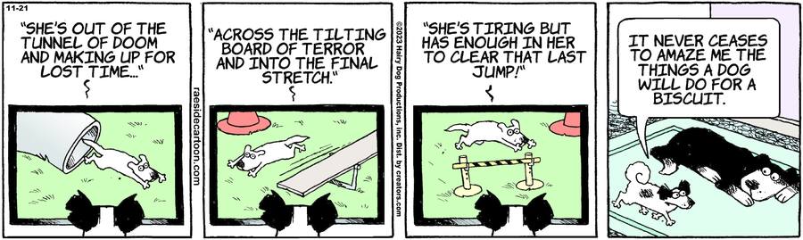 The Other Coast for Nov 21, 2023