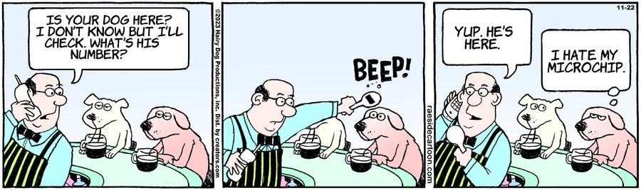 The Other Coast for Nov 22, 2023