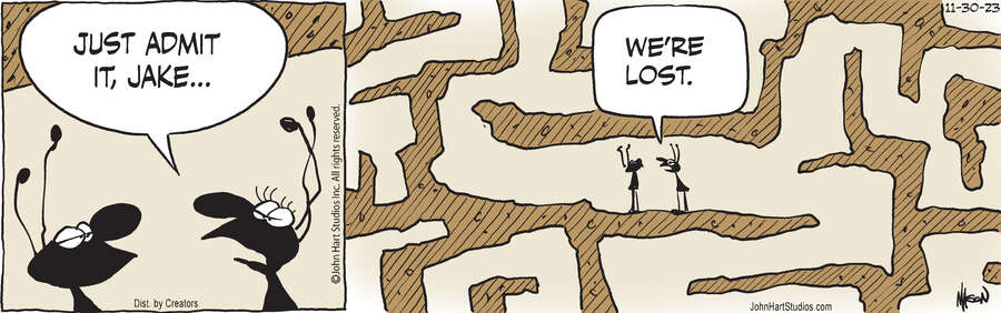 B.C. for Nov 30, 2023