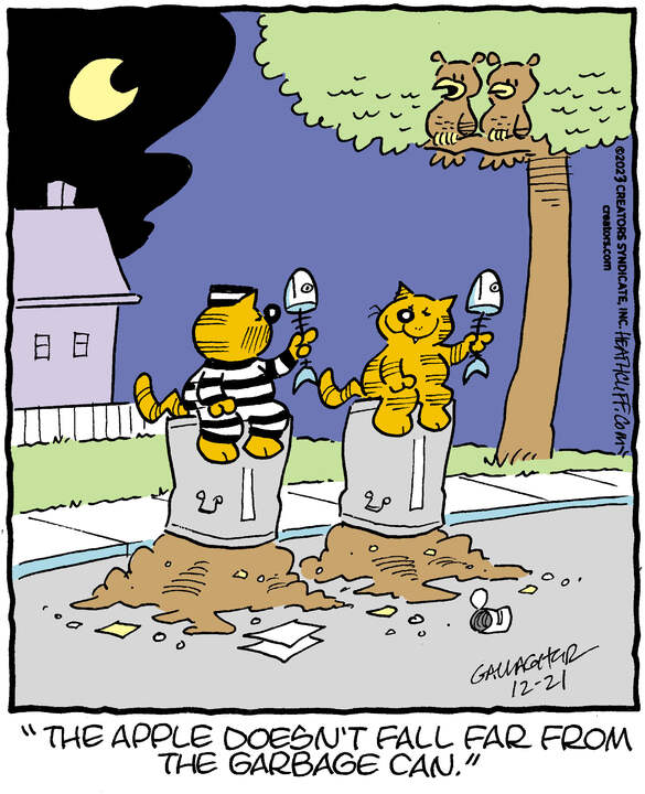 Heathcliff for Dec 21, 2023