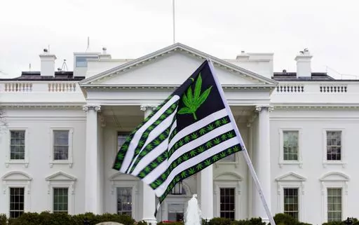 A demonstrator waves a flag with marijuana leaves depicted on it during a protest calling for the legalization of marijuana, outside of the White House on April 2, 2016, in Washington. President Joe Biden is pardoning thousands of people who were convicted of use and simple possession of marijuana on federal lands and in the District of Columbia. The White House says his action Friday is his latest round of executive clemencies meant to rectify racial disparities in the justice system. (AP Photo