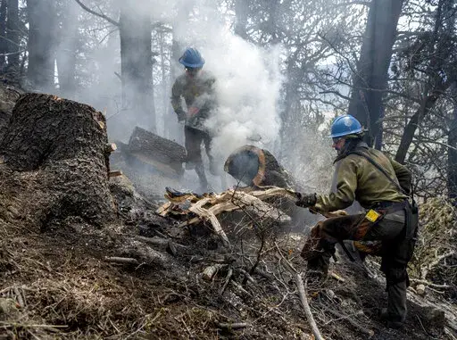 Carson Hot Shots Henry Hornberger, left, and Tyler Freeman cut up a hollow tree that was burning on the inside, Monday May 23, 2022, as they and their co-workers work on hot spots from the Calf Canyon/Hermits Peak Fire in the Carson National Forest west of Chacon, N.M. Crews in northern New Mexico have cut and cleared containment lines around nearly half of the perimeter of the nation’s largest active wildfire while bracing for a return of weather conditions that might fan flames and send embe
