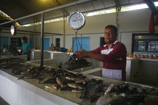 Vendor Antonio Rodrigues do Santos works at the fish market in Atalaia do Norte, Amazonas state, Brazil, Friday, June 10, 2022. According with the police a wildcat fisherman is the main suspect of the disappearance of British journalist Dom Phillips and Indigenous affairs expert Bruno Pereira, and authorities say illegal fishing near the Javari Valley Indigenous Territory, where Phillips and Pereira went missing last Sunday has raised the tension with local Indigenous groups in the isolated area