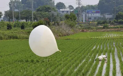 A balloon presumably sent by North Korea, is seen in a paddy field in Incheon, South Korea, on June 10, 2024. (Im Sun-suk/Yonhap via AP, File)
