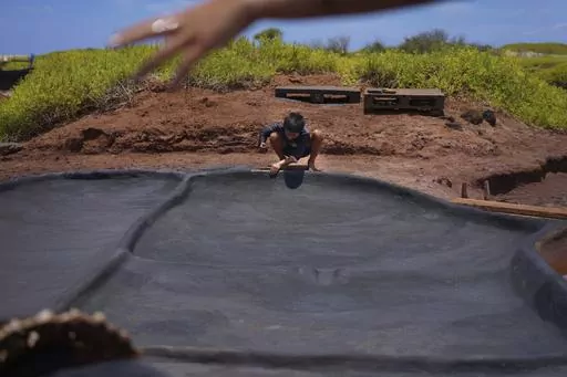 Kekanemekala Taniguchi, son of Tina Taniguchi, smooths wet black clay onto the wall of a salt bed in the Hanapepe salt patch on Wednesday, July 12, 2023, in Hanapepe, Hawaii. 22 Native Hawaiian families work the beds each summer to make "paakai," or Hawaiian salt, which can only be given away or traded, not sold. (AP Photo/Jessie Wardarski)