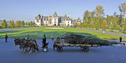 A horse-drawn trailer carries a 34-foot live Fraser fir to the front doors of the Biltmore House in Asheville, N.C Friday, Nov. 2, 2007. (Bill Sanders/The Asheville Citizen-Times via AP)