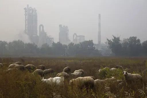 Sheep graze on a grass land near a cement plant on the outskirts of Beijing, China, Oct. 17, 2015. New global data released in May 2022, shows that emissions of heat-trapping gases coming from making cement have doubled in the last 20 years. It's all being driven by China, which is responsible for more than half of the globe's cement carbon emissions. (AP Photo/Ng Han Guan, File)