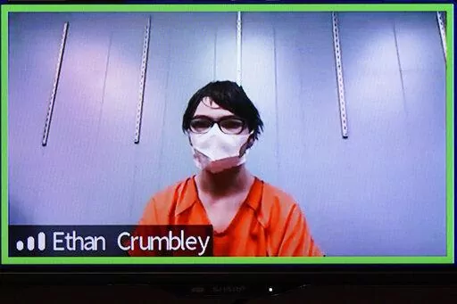 This image from 52-3 District Court shows Ethan Crumbley in a Zoom hearing in Rochester Hills, Mich., Friday, Jan. 7, 2022. Attorneys say Crumbley, who is charged with killing four students at a Michigan high school will pursue an insanity defense.  A summary of case filings available online says a notice was filed Thursday, Jan. 27. (AP Photo/Carlos Osorio, File)