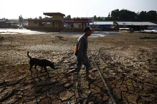 Joaquim Mendes da Silva, 73, walks with his dog on the dry bed of Puraquequara lake amid a drought, in Manaus, Amazonas state, Brazil, Oct. 5, 2023. He said this drought is the worst he can recall. (AP Photo/Edmar Barros, File)