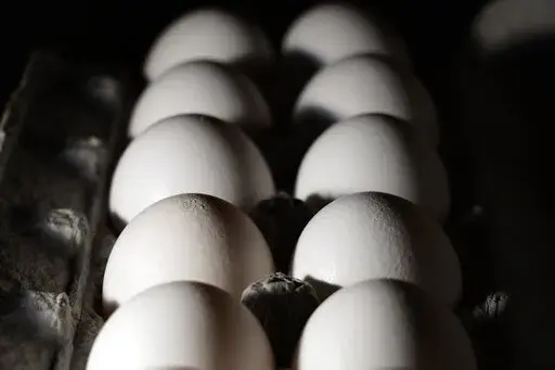 A carton of eggs are seen, Tuesday, July 12, 2022, in Marple Township, Pa. On Friday, Feb. 10, 2023, The Associated Press reported on stories circulating online incorrectly claiming a protein naturally found in egg yolks protects against COVID-19 in humans, which is why there is an egg shortage. (AP Photo/Matt Slocum, File)