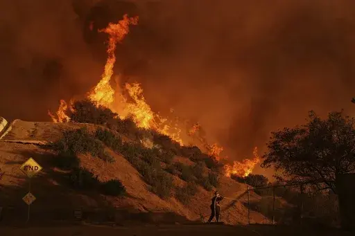 A firefighter battles the Palisades Fire in Mandeville Canyon on Saturday, Jan. 11, 2025, in Los Angeles. (AP Photo/Jae C. Hong)
