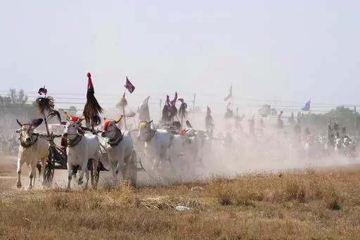 Cambodian villagers race their oxcarts at Romdoul village, Kampong Speu province, southwest of Phnom Penh, Cambodia, Sunday, April 7, 2024. Hundreds of Cambodian villagers on Sunday held a rare oxcart racing ceremony in aims of reviving the country's centuries-old tradition and to celebrate the arrival of their lunar new year. (AP Photo/Heng Sinith)