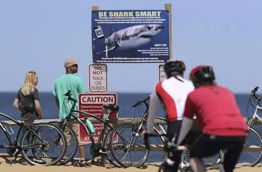 In this May 22, 2019, file photo, a shark warning warns beachgoers at Lecount Hollow Beach in Wellfleet, Mass. Scientists monitoring the white shark population in the waters off Cape Cod are stepping up their game by attaching more highly sophisticated sensors that include cameras to the predators to help keep beachgoers informed and safe, researchers said Tuesday, June 13, 2023. (AP Photo/Charles Krupa, File)