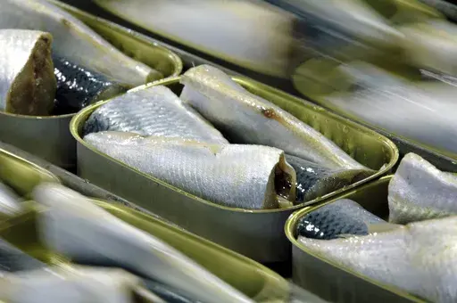 FILE 0 Packed sardine cans move down the assembly line at the Stinson Seafood plant Monday, April 25, 2005, in Gouldsboro, Maine. (AP Photo/Robert F. Bukaty, File)