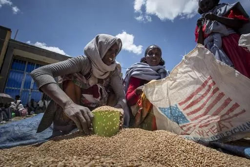 An Ethiopian woman scoops up portions of wheat to be allocated to each waiting family after it was distributed by the Relief Society of Tigray in the town of Agula, in the Tigray region of northern Ethiopia on May 8, 2021. A study by local health authorities and Mekele University in the regional capital found that hunger is now the main cause of death in Tigray, accounting for more than 68% of deaths investigated by the researchers. (AP Photo/Ben Curtis, File)