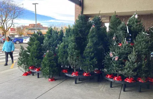 A shopper passes by a display of Christmas trees outside the main entrance to a grocery store, Tuesday, Nov. 16, 2021, in southeast Denver. Add Christmas trees to the list of items facing shortages and higher prices this year. (AP Photo/David Zalubowski)