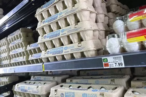 Eggs are displayed on store shelves at a local grocery store in Chandler, Ariz., Jan. 21, 2023. Amid soaring egg prices, social media users are claiming that common chicken feed products are preventing their own hens from laying eggs. (AP Photo/Ross D. Franklin, File)