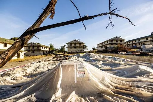 Labeled with asbestos and lead warnings, sheeting covers rubble from demolished barracks at Fort Ord on Thursday, April 29, 2021, in Fort Ord, Calif. In a Nov. 4, 2022 letter to Rep. Katie Porter, D-Calif., the director of the CDC’s Agency for Toxic Substances and Disease Registry, Patrick Breysse, wrote that “there are sufficient data and scientific reasons for ATSDR to re-evaluate health risks related to historical drinking water exposures at Fort Ord.” (AP Photo/Noah Berger, File)
