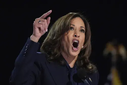 Democratic presidential nominee Vice President Kamala Harris speaks during the Democratic National Convention Thursday, Aug. 22, 2024, in Chicago. (AP Photo/Brynn Anderson)