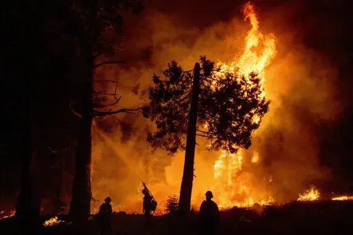 While battling the Caldor Fire, a firefighter sprays water as crews burn vegetation to create a control line along Highway 50 in Eldorado National Forest, Calif., on Thursday, Aug. 26, 2021. (AP Photo/Noah Berger)