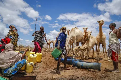 Herders supply water from a borehole to give to their camels during a drought near Kuruti, in Garissa County, Kenya on Oct. 27, 2021. The frequency and duration of droughts will continue to increase due to human-caused climate change, with water scarcity already affecting billions of people across the world, the United Nations warned in a report Wednesday, May 11, 2022. (AP Photo/Brian Inganga, File)