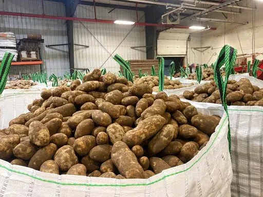In this photo provided Jay LaJoie, russet potatoes produced by Maine growers are packaged to be loaded on a rail car headed for Washington State, at a warehouse owned by LaJoie Growers LLC, in Van Buren, Maine, Jan. 17, 2022. Maine is shipping potatoes all the way to the West Coast over the winter of 2021-2022, thanks to a banner harvest in Maine and a drought for growers in the West. (Jay LaJoie via AP)