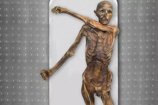 This photo provided by The South Tyrol Museum of Archaeology shows "Oetzi the Iceman," one of the oldest human glacier mummies. Decades after he was discovered in the Italian Alps, scientists determined that Oetzi was mostly descended from farmers from present day Turkey, and his head was balder and skin darker than what was initially thought, according to a study published Wednesday, Aug. 16, 2023, in the journal Cell Genomics. (Marco Samadelli, Gregor Staschitz/South Tyrol Museum of Archaeolog