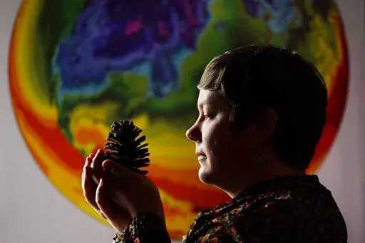 University of Maine climate scientist Jacquelyn Gill examines a cone from a western pine at the Sawyer Environmental Research Center, Wednesday, May 4, 2022, in Orono, Maine. Gill says her work as a paleo-ecologist and climatologist has given her hope for the Earth's resilience despite global warming. Climate scientists who have been through a lot both personally and professionally say the key is often action. (AP Photo/Robert F. Bukaty)