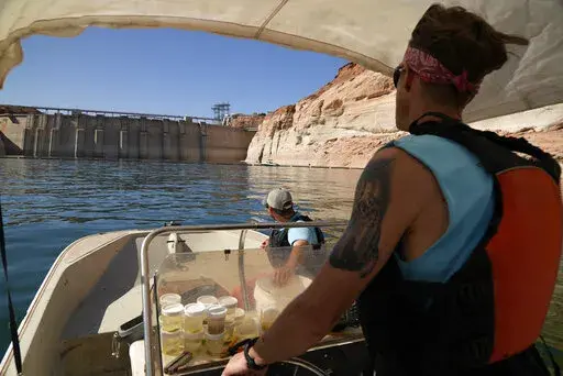 Utah State University master's student Barrett Friesen steers a boat near Glen Canyon dam on Lake Powell on June 7, 2022, in Page, Ariz. In Arizona, water officials are concerned, though not panicking, about getting water in the future from the Colorado River as its levels decline and the federal government talks about the need for states in the Colorado River Basin to reduce use. (AP Photo/Brittany Peterson, File)