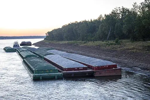 Barges idle while waiting for passage in the Mississippi River near Vicksburg, Miss., on Tuesday, Oct. 4, 2022. The unusually low water level in the lower Mississippi River is causing barges to get stuck in the muddy river bottom, resulting in delays. The U.S. Coast Guard said Tuesday, Oct. 4, 2022, that at least eight “groundings” of barges have been reported in the past week, despite low-water restrictions on the barge loads. (Thomas Berner via AP)