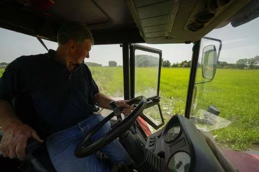 Rice farmer Giovanni Daghetta handles a dewatering pump from a tractor to get water from a channel to a completely dried rice field, in Mortara, Lomellina area, Italy, Monday, June 27, 2022. The worst drought Italy has faced in 70 years is thirsting paddy fields in the river Po valley and jeopardizing the harvest of the premium rice used for risotto. (AP Photo/Luca Bruno)