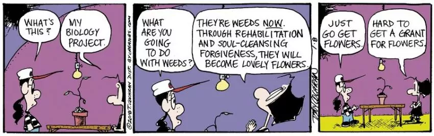 Agnes for Jan 08, 2024