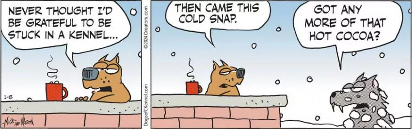 Dogs of C-Kennel for Jan 08, 2024