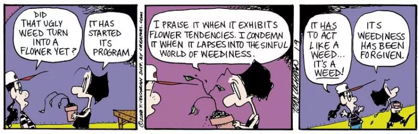 Agnes for Jan 09, 2024